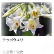 ヒメ日記 2025/07/20 17:15 投稿 山波幸 こあくまな熟女たち 鶯谷・日暮里店(KOAKUMAグループ)