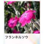 ヒメ日記 2025/07/23 17:27 投稿 山波幸 こあくまな熟女たち 鶯谷・日暮里店(KOAKUMAグループ)