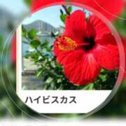 ヒメ日記 2025/07/25 17:17 投稿 山波幸 こあくまな熟女たち 鶯谷・日暮里店(KOAKUMAグループ)