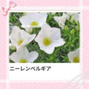 ヒメ日記 2025/08/06 17:42 投稿 山波幸 こあくまな熟女たち 鶯谷・日暮里店(KOAKUMAグループ)