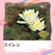 ヒメ日記 2025/08/08 17:53 投稿 山波幸 こあくまな熟女たち 鶯谷・日暮里店(KOAKUMAグループ)