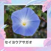 ヒメ日記 2025/08/20 17:09 投稿 山波幸 こあくまな熟女たち 鶯谷・日暮里店(KOAKUMAグループ)