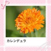 ヒメ日記 2025/08/29 17:29 投稿 山波幸 こあくまな熟女たち 鶯谷・日暮里店(KOAKUMAグループ)