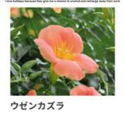 ヒメ日記 2025/08/31 17:08 投稿 山波幸 こあくまな熟女たち 鶯谷・日暮里店(KOAKUMAグループ)