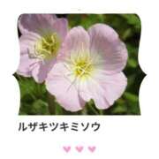 ヒメ日記 2025/09/02 17:28 投稿 山波幸 こあくまな熟女たち 鶯谷・日暮里店(KOAKUMAグループ)