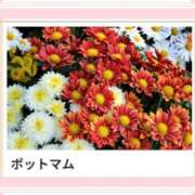 ヒメ日記 2025/09/10 17:08 投稿 山波幸 こあくまな熟女たち 鶯谷・日暮里店(KOAKUMAグループ)