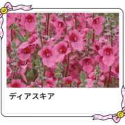 ヒメ日記 2025/09/12 17:25 投稿 山波幸 こあくまな熟女たち 鶯谷・日暮里店(KOAKUMAグループ)