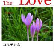 ヒメ日記 2025/09/27 17:04 投稿 山波幸 こあくまな熟女たち 鶯谷・日暮里店(KOAKUMAグループ)