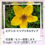 ヒメ日記 2025/10/16 17:08 投稿 山波幸 こあくまな熟女たち 鶯谷・日暮里店(KOAKUMAグループ)