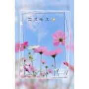 ヒメ日記 2025/10/26 17:12 投稿 山波幸 こあくまな熟女たち 鶯谷・日暮里店(KOAKUMAグループ)