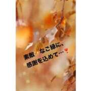 ヒメ日記 2025/10/31 21:51 投稿 山波幸 こあくまな熟女たち 鶯谷・日暮里店(KOAKUMAグループ)