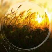 ヒメ日記 2025/11/02 17:23 投稿 山波幸 こあくまな熟女たち 鶯谷・日暮里店(KOAKUMAグループ)