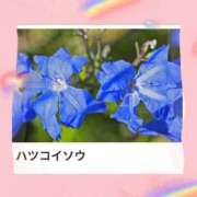 ヒメ日記 2025/11/03 17:22 投稿 山波幸 こあくまな熟女たち 鶯谷・日暮里店(KOAKUMAグループ)