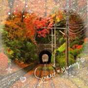 ヒメ日記 2025/11/07 17:15 投稿 山波幸 こあくまな熟女たち 鶯谷・日暮里店(KOAKUMAグループ)