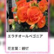 ヒメ日記 2025/11/12 17:10 投稿 山波幸 こあくまな熟女たち 鶯谷・日暮里店(KOAKUMAグループ)