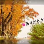 ヒメ日記 2025/11/19 17:09 投稿 山波幸 こあくまな熟女たち 鶯谷・日暮里店(KOAKUMAグループ)