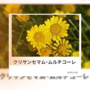 ヒメ日記 2025/11/25 17:47 投稿 山波幸 こあくまな熟女たち 鶯谷・日暮里店(KOAKUMAグループ)