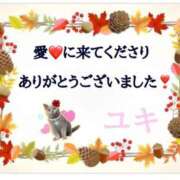 ヒメ日記 2025/11/30 17:59 投稿 山波幸 こあくまな熟女たち 鶯谷・日暮里店(KOAKUMAグループ)