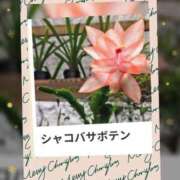 山波幸 本日も、ありがとうございました。 こあくまな熟女たち 鶯谷・日暮里店(KOAKUMAグループ)