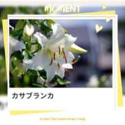 ヒメ日記 2025/12/21 17:30 投稿 山波幸 こあくまな熟女たち 鶯谷・日暮里店(KOAKUMAグループ)