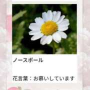 ヒメ日記 2025/12/23 17:12 投稿 山波幸 こあくまな熟女たち 鶯谷・日暮里店(KOAKUMAグループ)