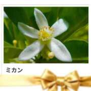 山波幸 本日も、ありがとうございました。 こあくまな熟女たち 鶯谷・日暮里店(KOAKUMAグループ)