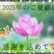 山波幸 本年も、ありがとうございました。 こあくまな熟女たち 鶯谷・日暮里店(KOAKUMAグループ)