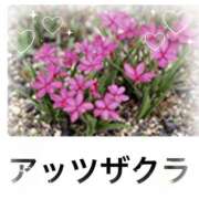 ヒメ日記 2026/01/07 17:37 投稿 山波幸 こあくまな熟女たち 鶯谷・日暮里店(KOAKUMAグループ)