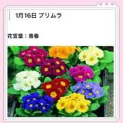 山波幸 本日も、ありがとうございました。 こあくまな熟女たち 鶯谷・日暮里店(KOAKUMAグループ)