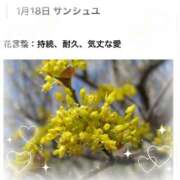 ヒメ日記 2026/01/18 17:18 投稿 山波幸 こあくまな熟女たち 鶯谷・日暮里店(KOAKUMAグループ)