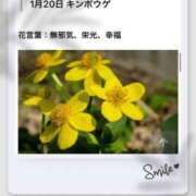 ヒメ日記 2026/01/20 17:19 投稿 山波幸 こあくまな熟女たち 鶯谷・日暮里店(KOAKUMAグループ)