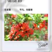 ヒメ日記 2026/01/23 17:05 投稿 山波幸 こあくまな熟女たち 鶯谷・日暮里店(KOAKUMAグループ)