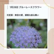ヒメ日記 2026/01/28 17:49 投稿 山波幸 こあくまな熟女たち 鶯谷・日暮里店(KOAKUMAグループ)