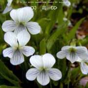 ヒメ日記 2026/02/01 17:36 投稿 山波幸 こあくまな熟女たち 鶯谷・日暮里店(KOAKUMAグループ)