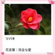 ヒメ日記 2026/02/04 17:10 投稿 山波幸 こあくまな熟女たち 鶯谷・日暮里店(KOAKUMAグループ)