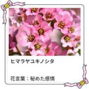ヒメ日記 2026/02/10 17:20 投稿 山波幸 こあくまな熟女たち 鶯谷・日暮里店(KOAKUMAグループ)