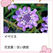 ヒメ日記 2026/02/11 18:20 投稿 山波幸 こあくまな熟女たち 鶯谷・日暮里店(KOAKUMAグループ)