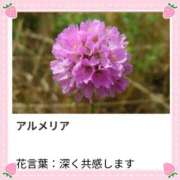 ヒメ日記 2026/02/13 18:38 投稿 山波幸 こあくまな熟女たち 鶯谷・日暮里店(KOAKUMAグループ)