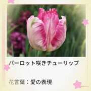 ヒメ日記 2026/02/15 17:05 投稿 山波幸 こあくまな熟女たち 鶯谷・日暮里店(KOAKUMAグループ)