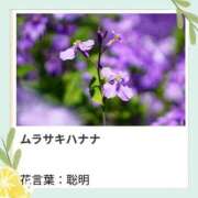 ヒメ日記 2026/02/18 17:19 投稿 山波幸 こあくまな熟女たち 鶯谷・日暮里店(KOAKUMAグループ)