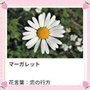 ヒメ日記 2026/02/20 17:21 投稿 山波幸 こあくまな熟女たち 鶯谷・日暮里店(KOAKUMAグループ)