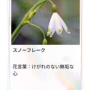 ヒメ日記 2026/02/22 17:20 投稿 山波幸 こあくまな熟女たち 鶯谷・日暮里店(KOAKUMAグループ)