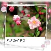 ヒメ日記 2026/02/25 17:10 投稿 山波幸 こあくまな熟女たち 鶯谷・日暮里店(KOAKUMAグループ)