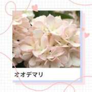 ヒメ日記 2026/03/06 17:12 投稿 山波幸 こあくまな熟女たち 鶯谷・日暮里店(KOAKUMAグループ)