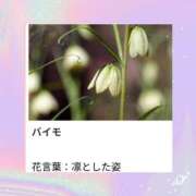 ヒメ日記 2026/03/08 18:27 投稿 山波幸 こあくまな熟女たち 鶯谷・日暮里店(KOAKUMAグループ)