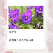 ヒメ日記 2026/03/15 19:12 投稿 山波幸 こあくまな熟女たち 鶯谷・日暮里店(KOAKUMAグループ)