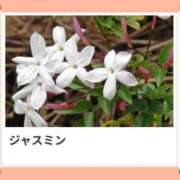 ヒメ日記 2026/04/03 17:41 投稿 山波幸 こあくまな熟女たち 鶯谷・日暮里店(KOAKUMAグループ)