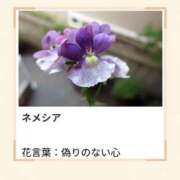 ヒメ日記 2026/04/12 17:59 投稿 山波幸 こあくまな熟女たち 鶯谷・日暮里店(KOAKUMAグループ)