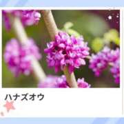 ヒメ日記 2026/05/06 17:19 投稿 山波幸 こあくまな熟女たち 鶯谷・日暮里店(KOAKUMAグループ)