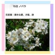 ヒメ日記 2026/05/15 17:14 投稿 山波幸 こあくまな熟女たち 鶯谷・日暮里店(KOAKUMAグループ)